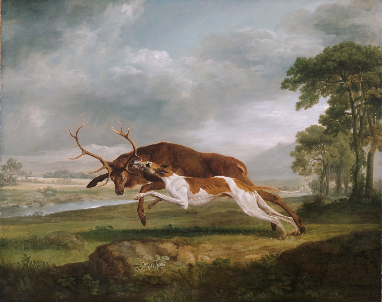 Hund hetzt einen Hirsch von George Stubbs
