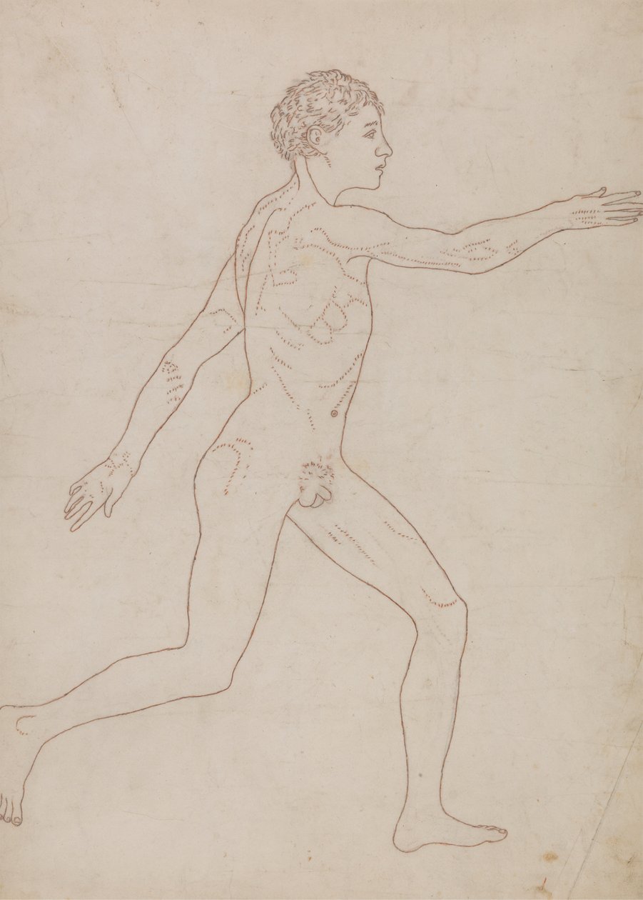 Menschliche Figur, Seitenansicht (Umrissstudie in Umkehrung von Tafel VIII) von George Stubbs