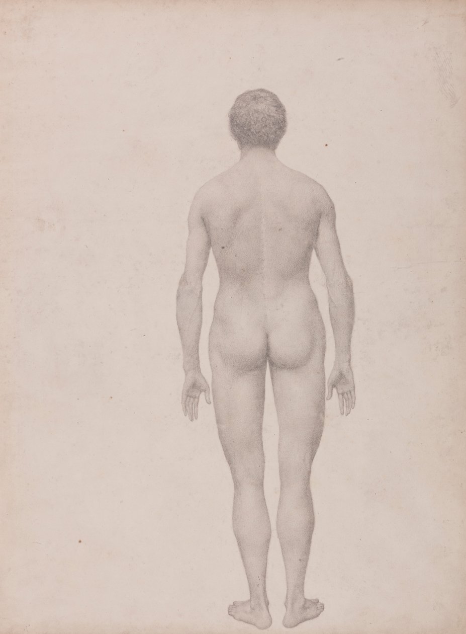 Menschliche Figur, Rückansicht, unseziert (Fertige Studie für Tabelle VII) von George Stubbs