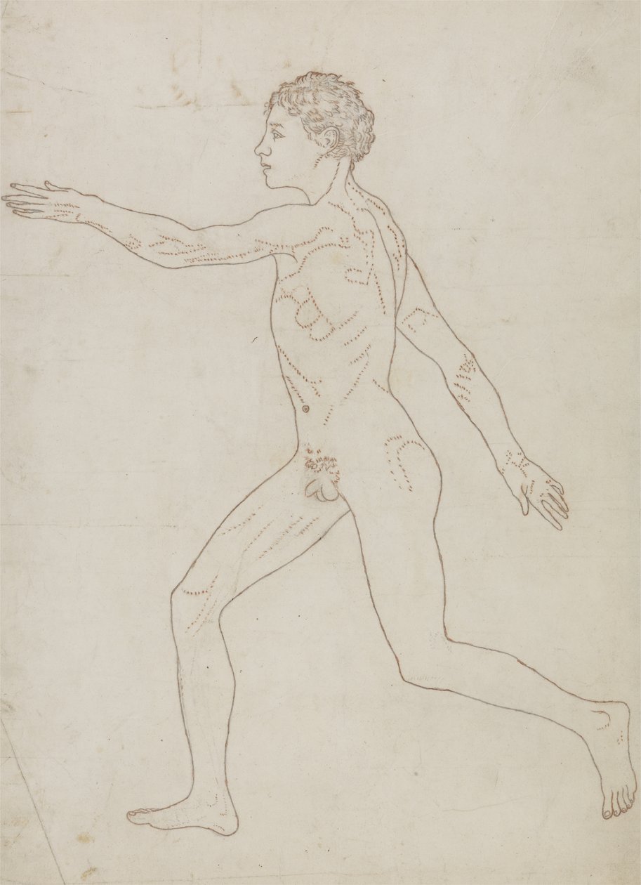 Studie der menschlichen Figur, Seitenansicht, aus 