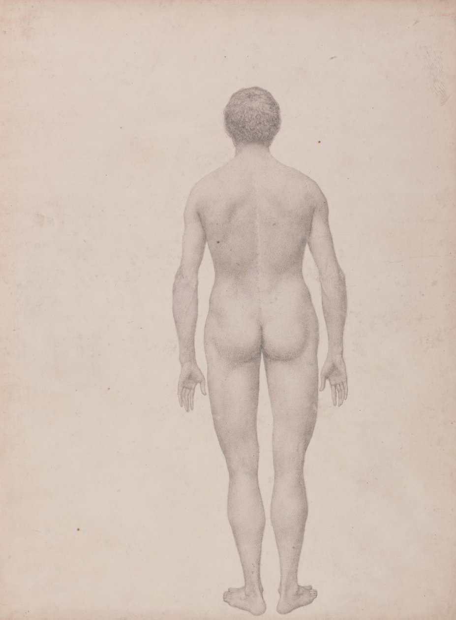 Studie der menschlichen Figur, Rückansicht, unseziert, fertige Studie für Tabelle VII, aus Einem Vergleichenden Anatomischen Exposé der Struktur des menschlichen Körpers mit dem eines Tigers und eines gewöhnlichen Huhns von George Stubbs