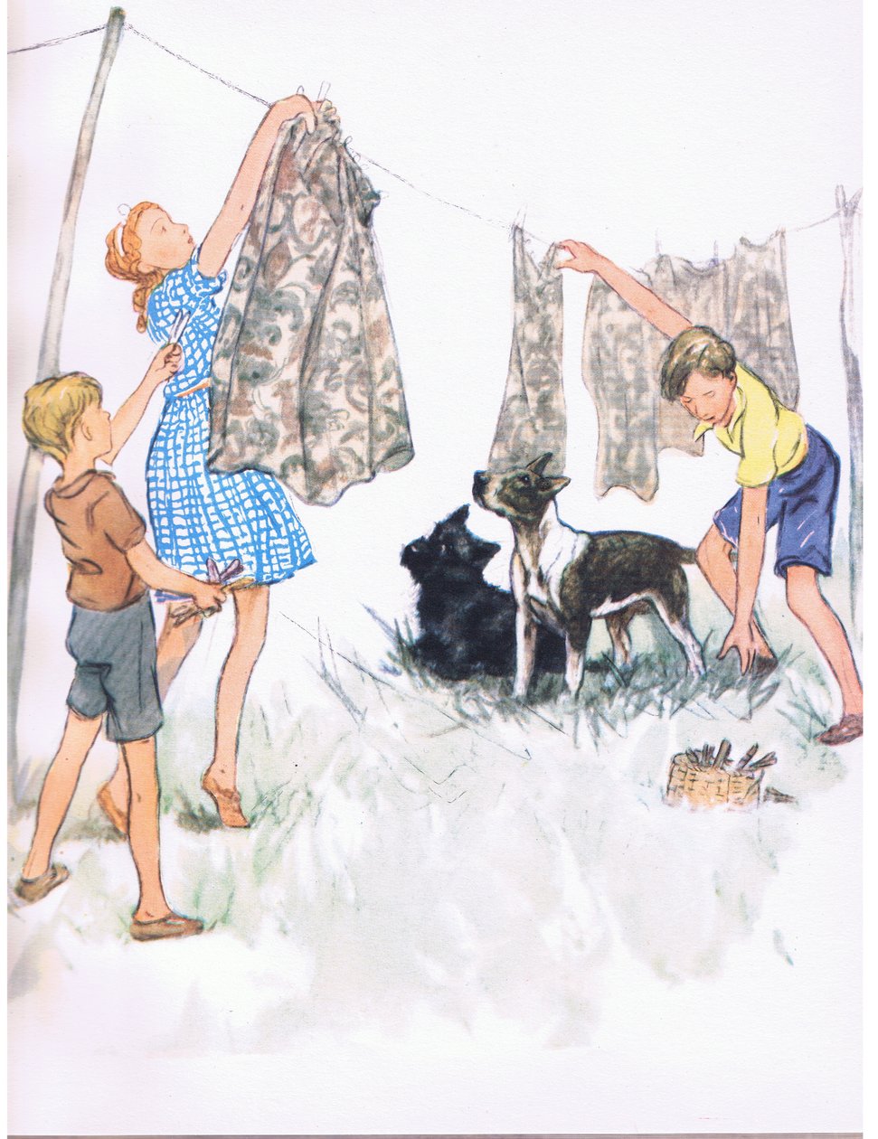 Die Wäsche auf die Leine hängen - Nobby der Bullterrier und Ferdinand der Aberdeen, aus Pets Limited veröffentlicht von Collins von George Vernon Stokes