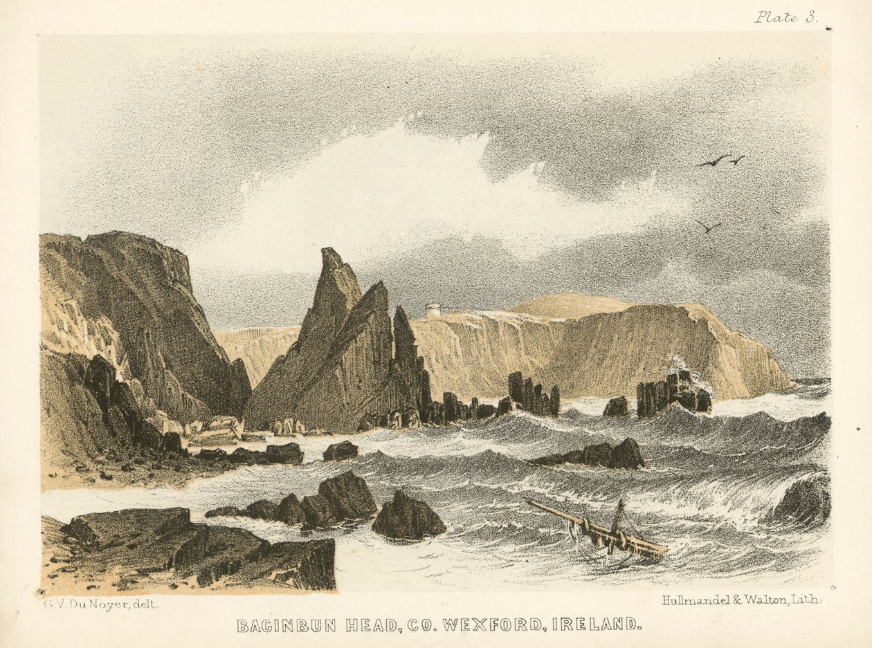 Baginbun Head, Co Wexford, Irland von George Victor Du Noyer
