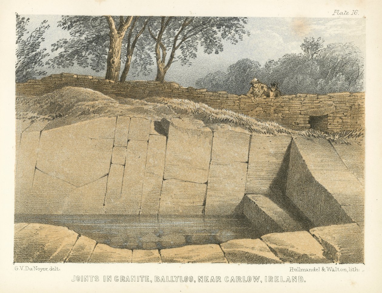 Fugen im Granit, Ballyloo, nahe Carlow, Irland von George Victor Du Noyer