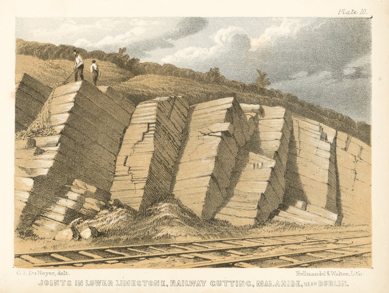 Fugen im unteren Kalkstein, Eisenbahnschnitt, Malahide, nahe Dublin von George Victor Du Noyer