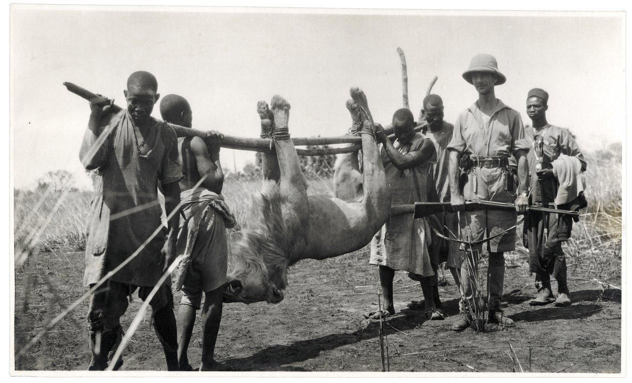 Löwe am Bahr el Ghazal, Am Dafok, 1925 von Georges Marie Haardt