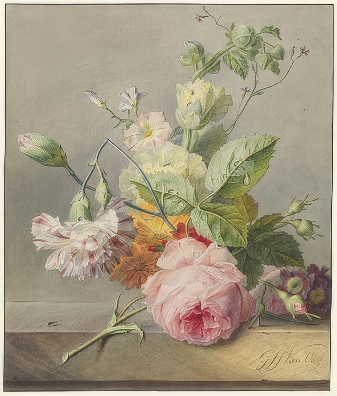 Blumenstillleben. Um 1800-25 von Georgius Jacobus Johannes van Os