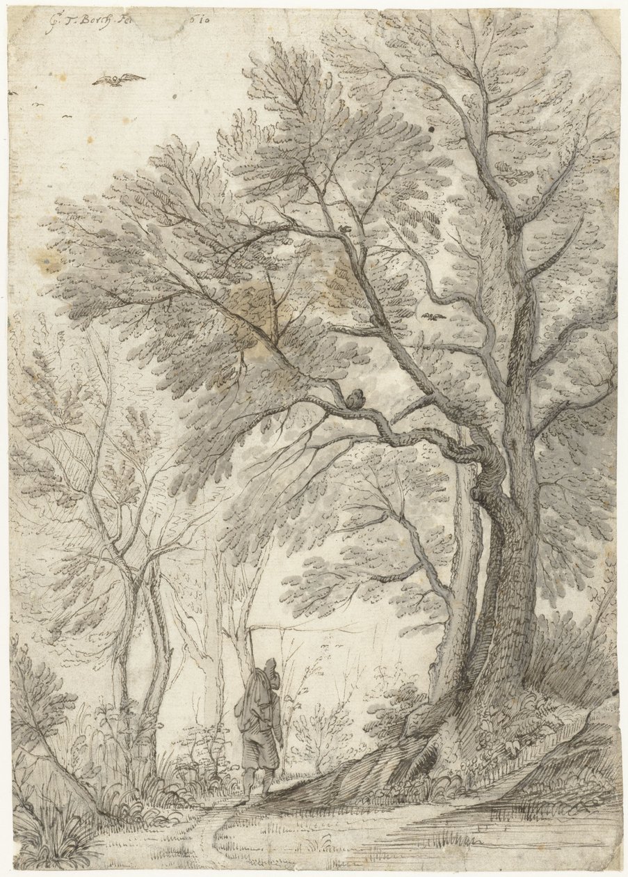 Wald der Villa Madama außerhalb Roms von Gerard ter Borch