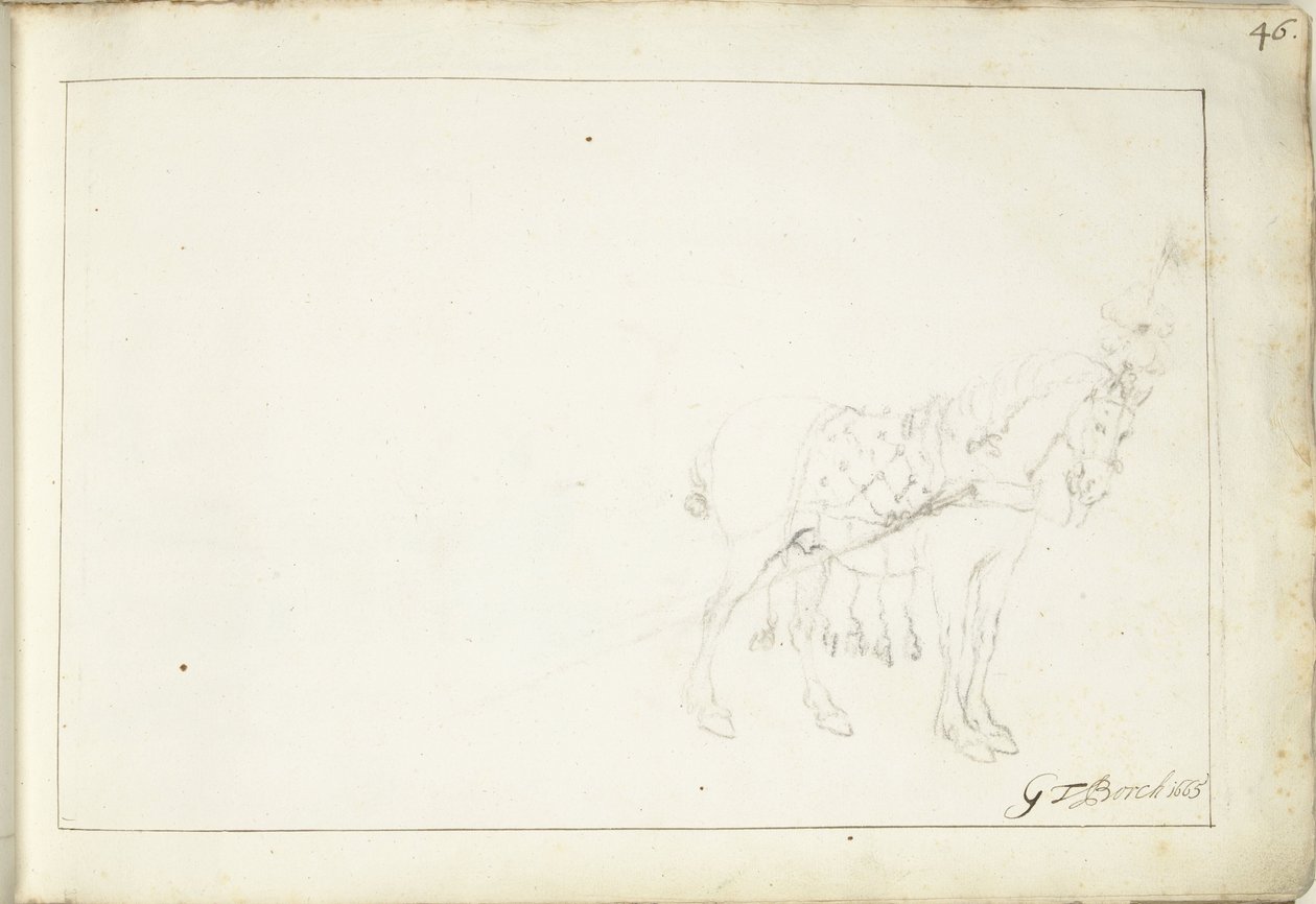 Pferd, nach rechts von Gerard ter Borch (II) (signed by artist)