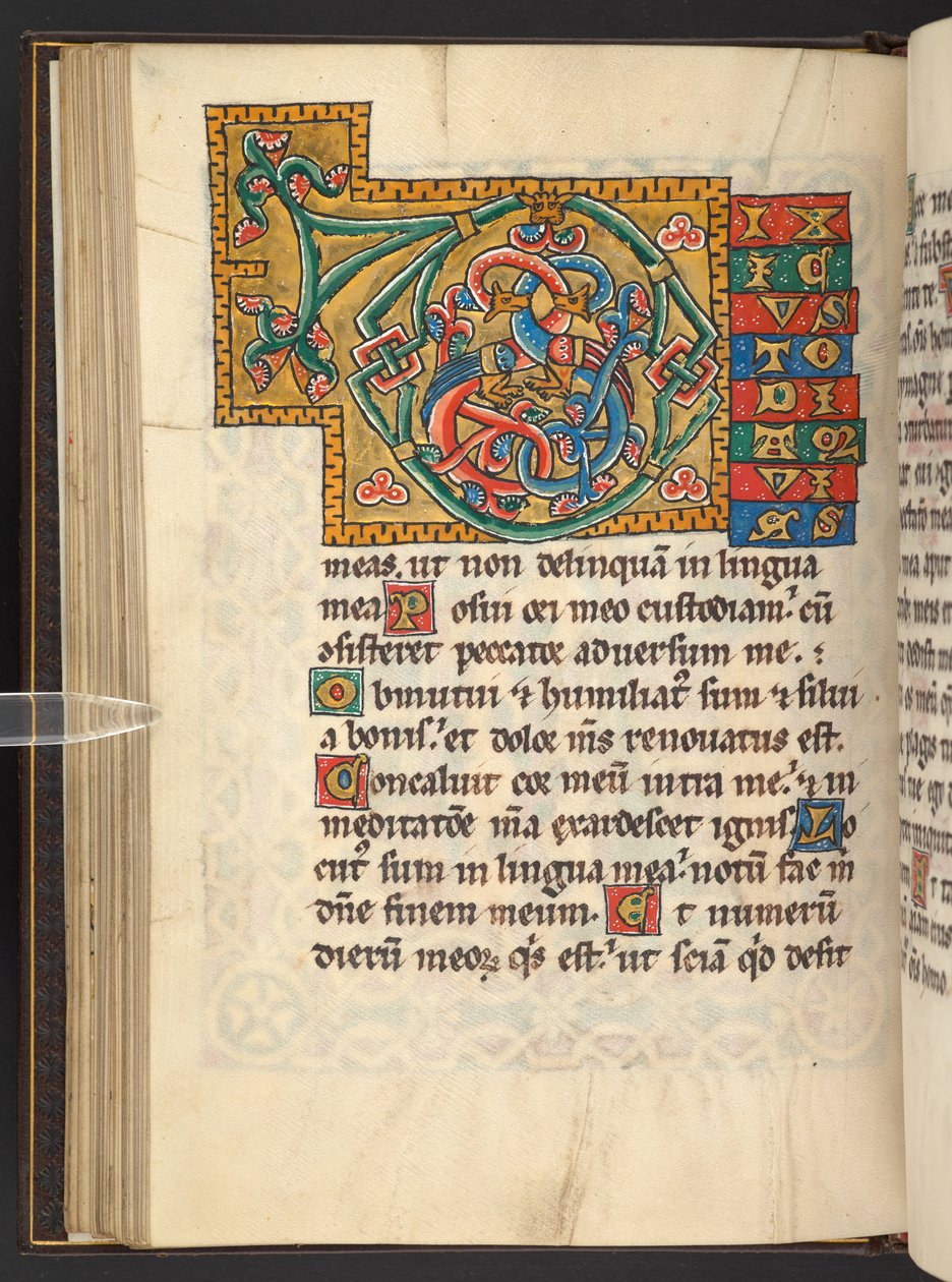 Große gerahmte Initialen in Gold und Farben mit Blatt- und manchmal zoomorphem und anthropomorphem Ornament (Pergament) von German School