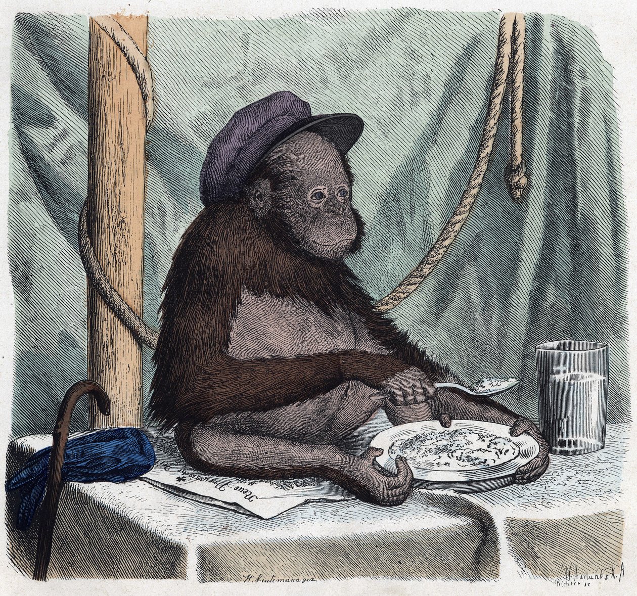 Ein gebildeter Orang-Utan isst Reis mit einem Löffel. In 