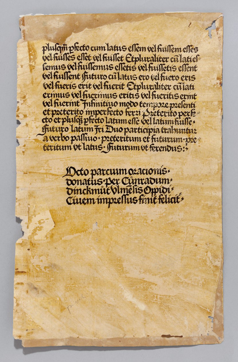 Ars Minor von Aelius Donatus, gedruckt von Konrad Dinckmut, Ulm, ca. 1476-80 von German School