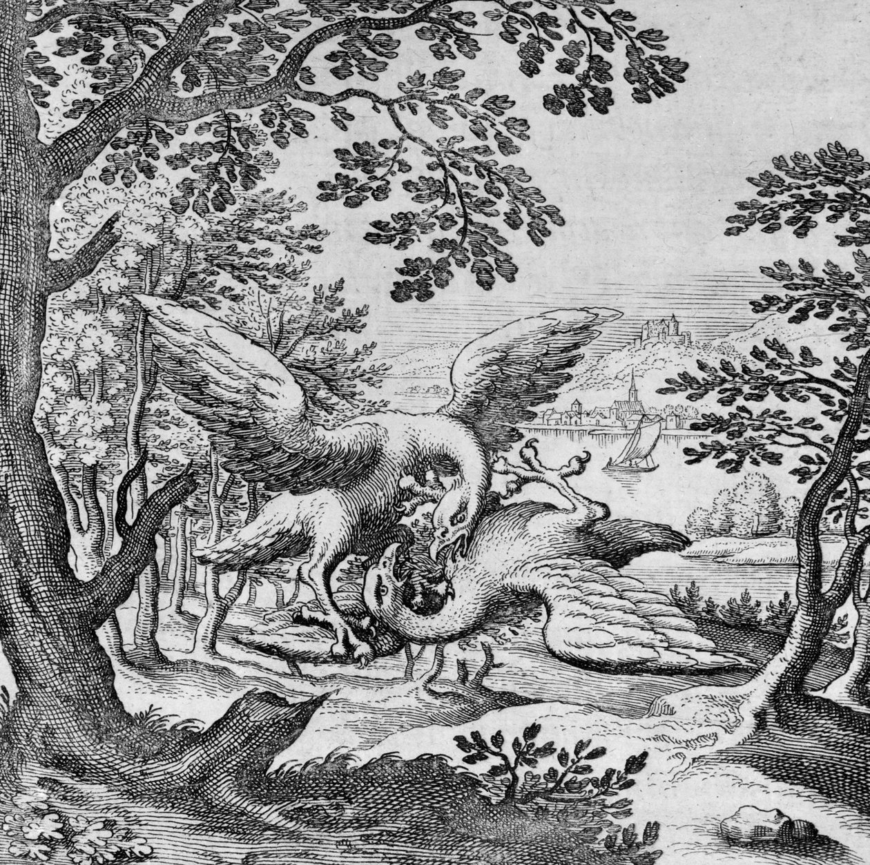 Kämpfende Vögel aus Musaeum Hermeticum von German School