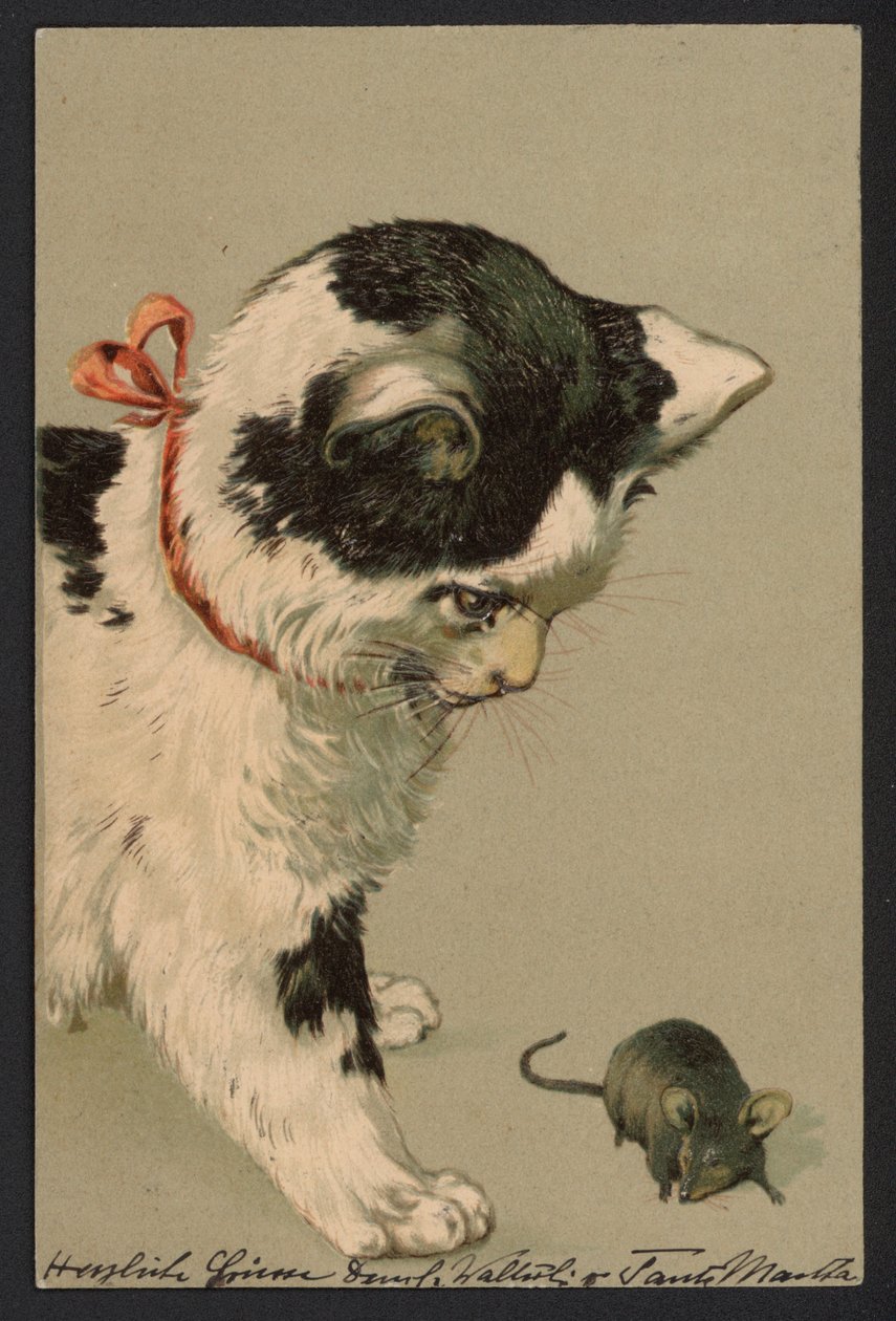 Katze spielt mit einer Maus von German School