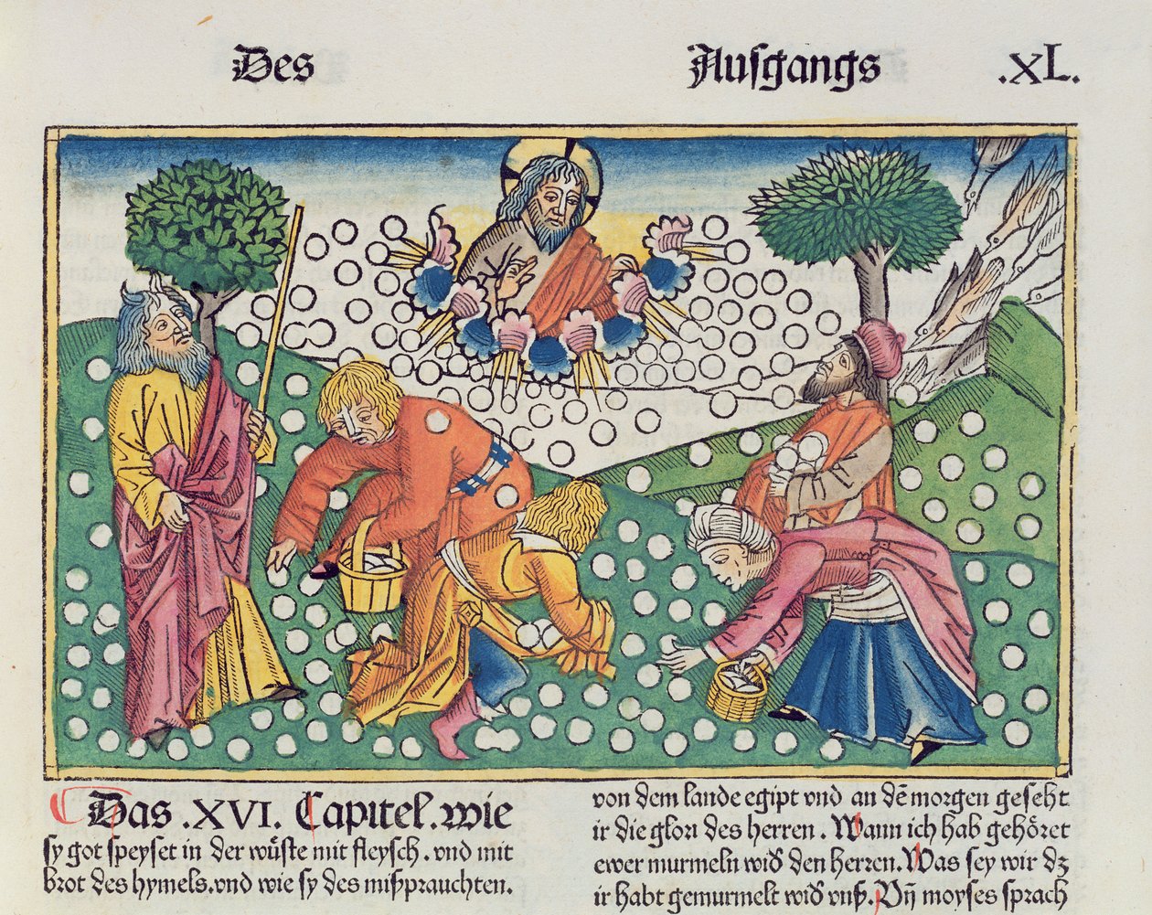Exodus 16:13-22 Gott versorgt die Israeliten mit Wachteln und Manna, aus der Nürnberger Bibel (Biblia Sacra Germanaica) von German School