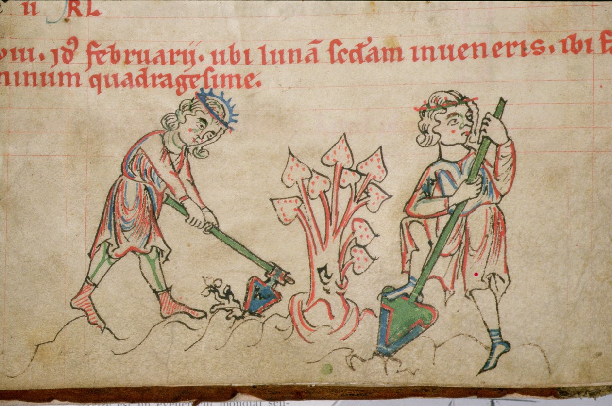 Ms 54 f.37 Februar: Hacken, Zisterzienser-Psalter von German School