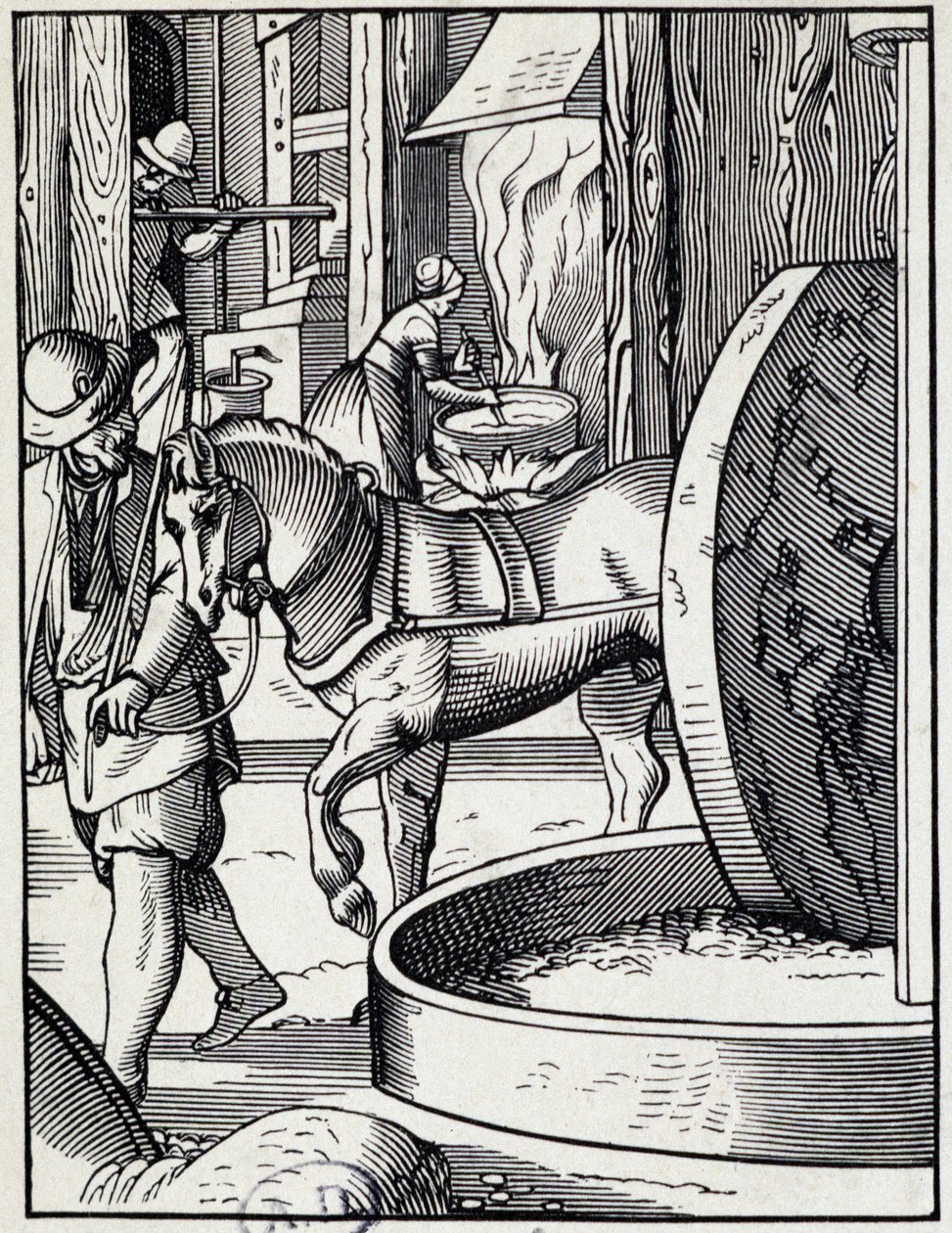 Ölpresse - Deutsche Gravur von German School