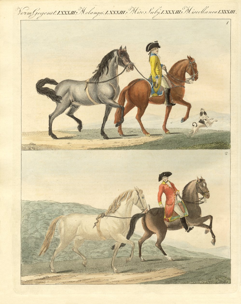 Das Pferd mit seinen verschiedenen Arten von German School