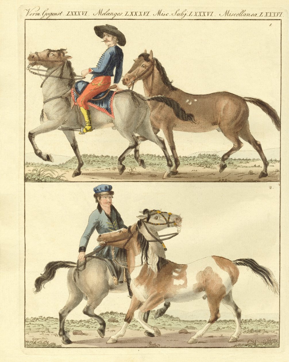 Das Pferd mit seinen verschiedenen Arten von German School