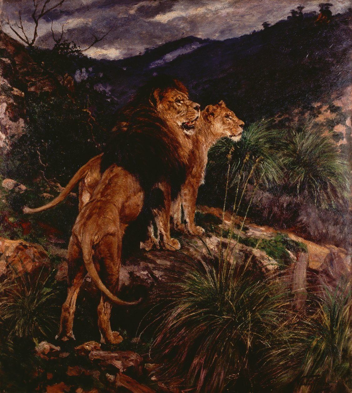 Löwen auf der Pirsch von Geza Vastagh
