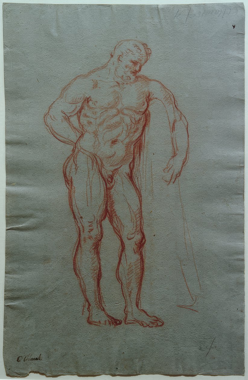 Studie nach der Gestalt des Herkules Farnese von Giacinto Calandrucci