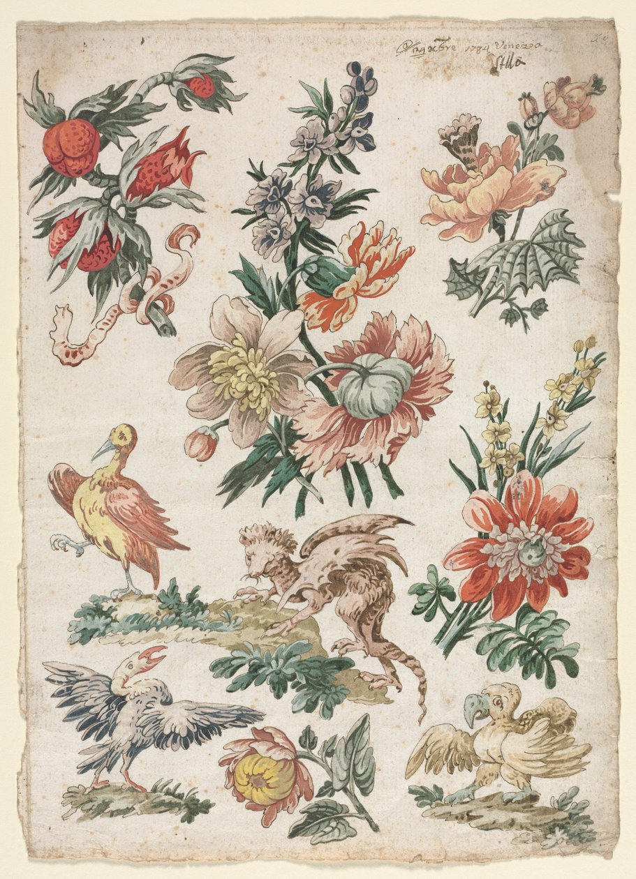 Florale Designs mit Vögeln und Greif, 1784 von Giacomo Cavenezia