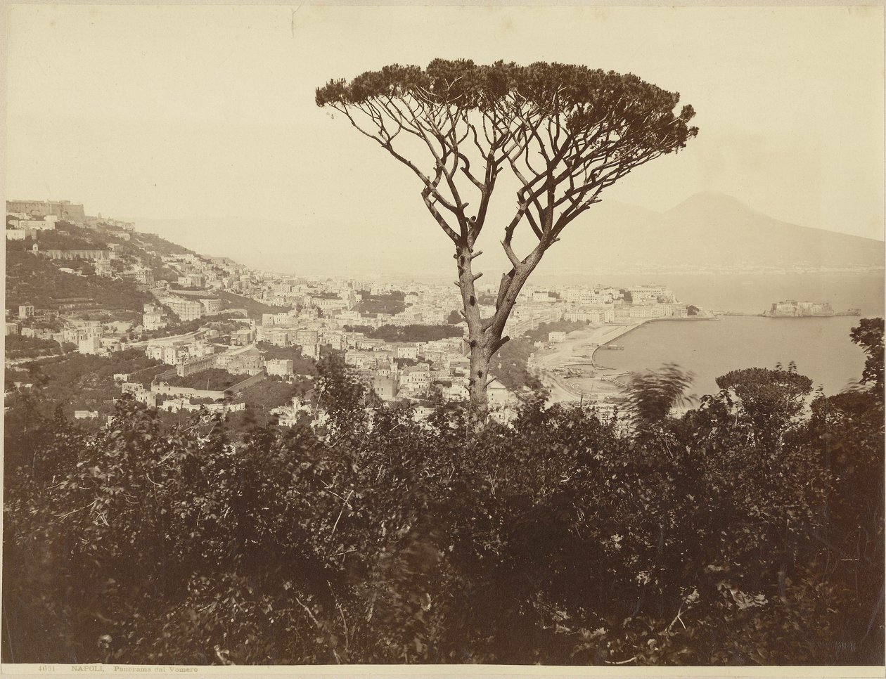 Neapel, Panorama vom Vomero von Giorgio Sommer