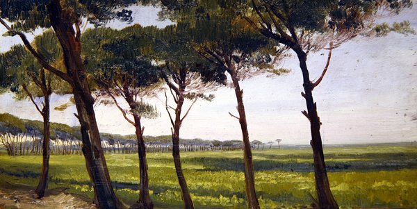 Eine Reihe alter Kiefern von Giovanni Costa