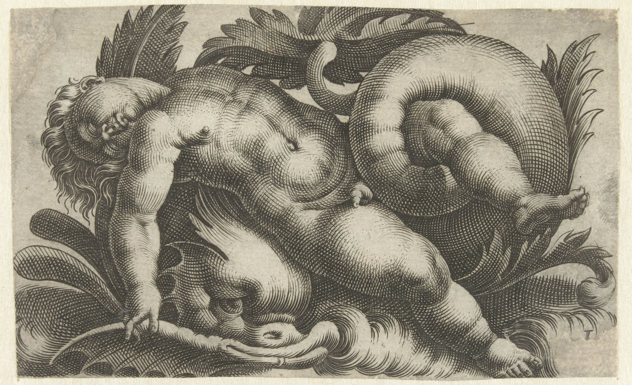 Schlafender Putto auf einem Delfin (Putti auf Meereswesen) von Giovanni Andrea Maglioli