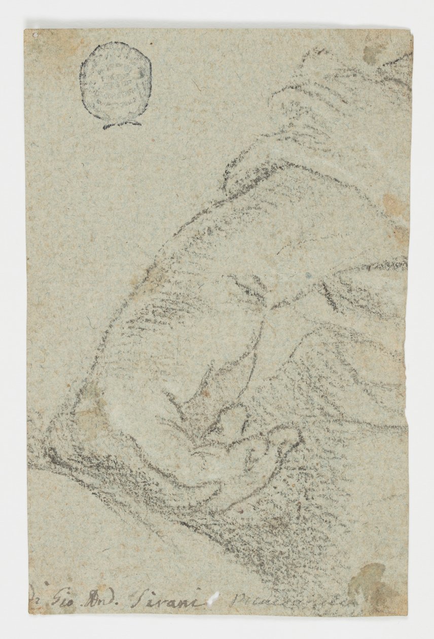 Studie: Eine linke Hand in lehnender Position von Giovanni Andrea Sirani