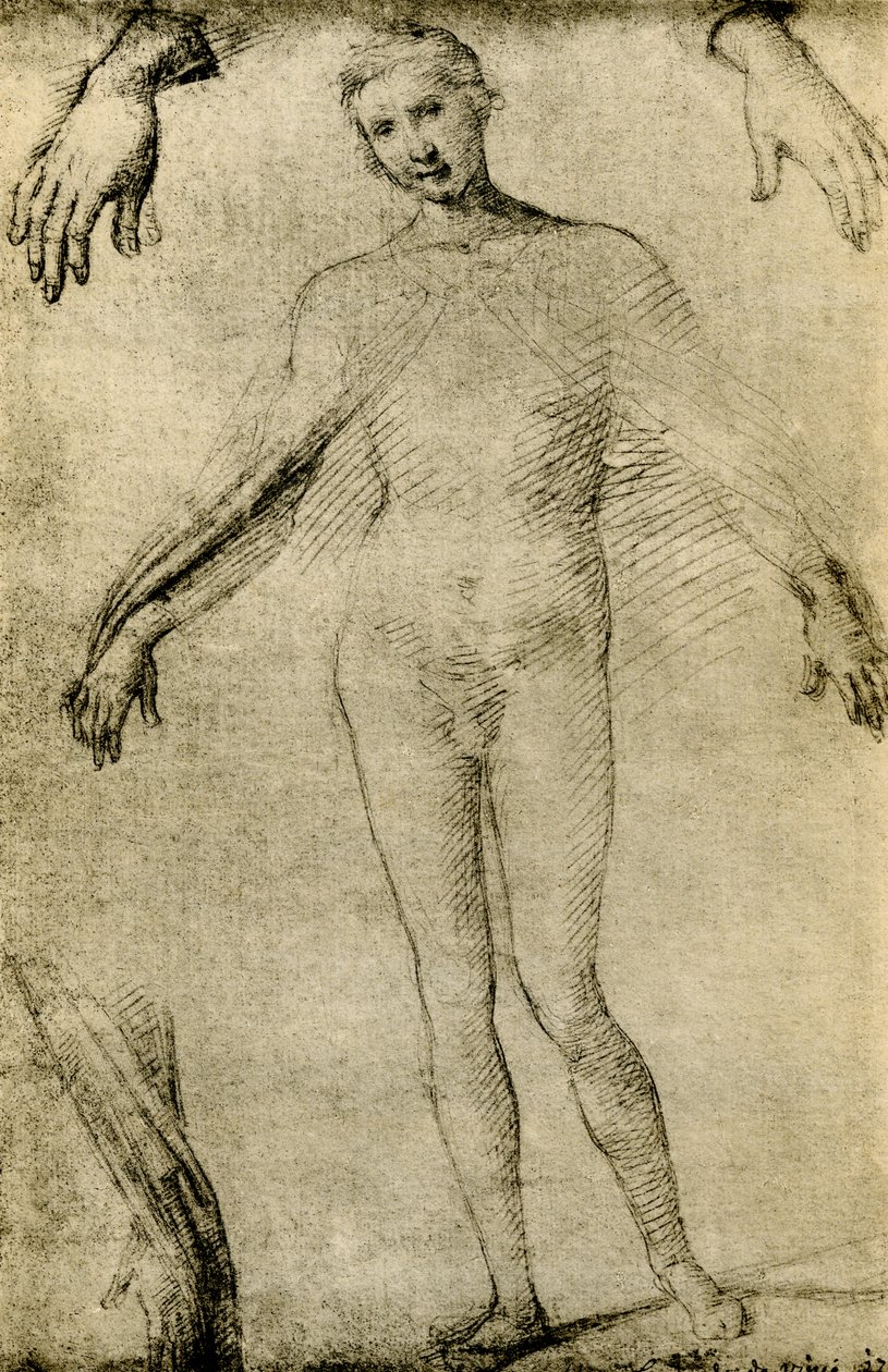 Modellstudie für eine Jungfrau Maria als Mater Misericordiae von Giovanni Antonio Bazzi Sodoma