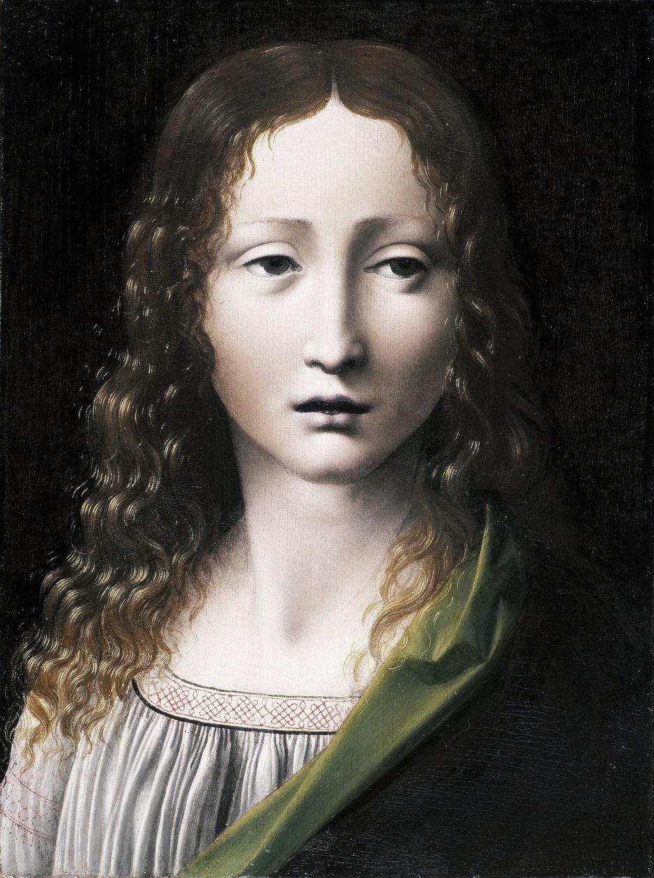 El Salvador Adolescente, 1490-1495 von Giovanni Antonio Boltraffio
