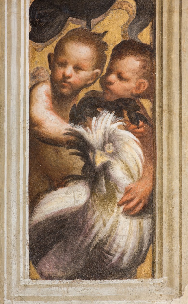 Zentrales Schiff, Lesene oberer Teil über Kapitell erster und zweiter Spann südlich, Puttini (Detail) von Giovanni Antonio Pordenone