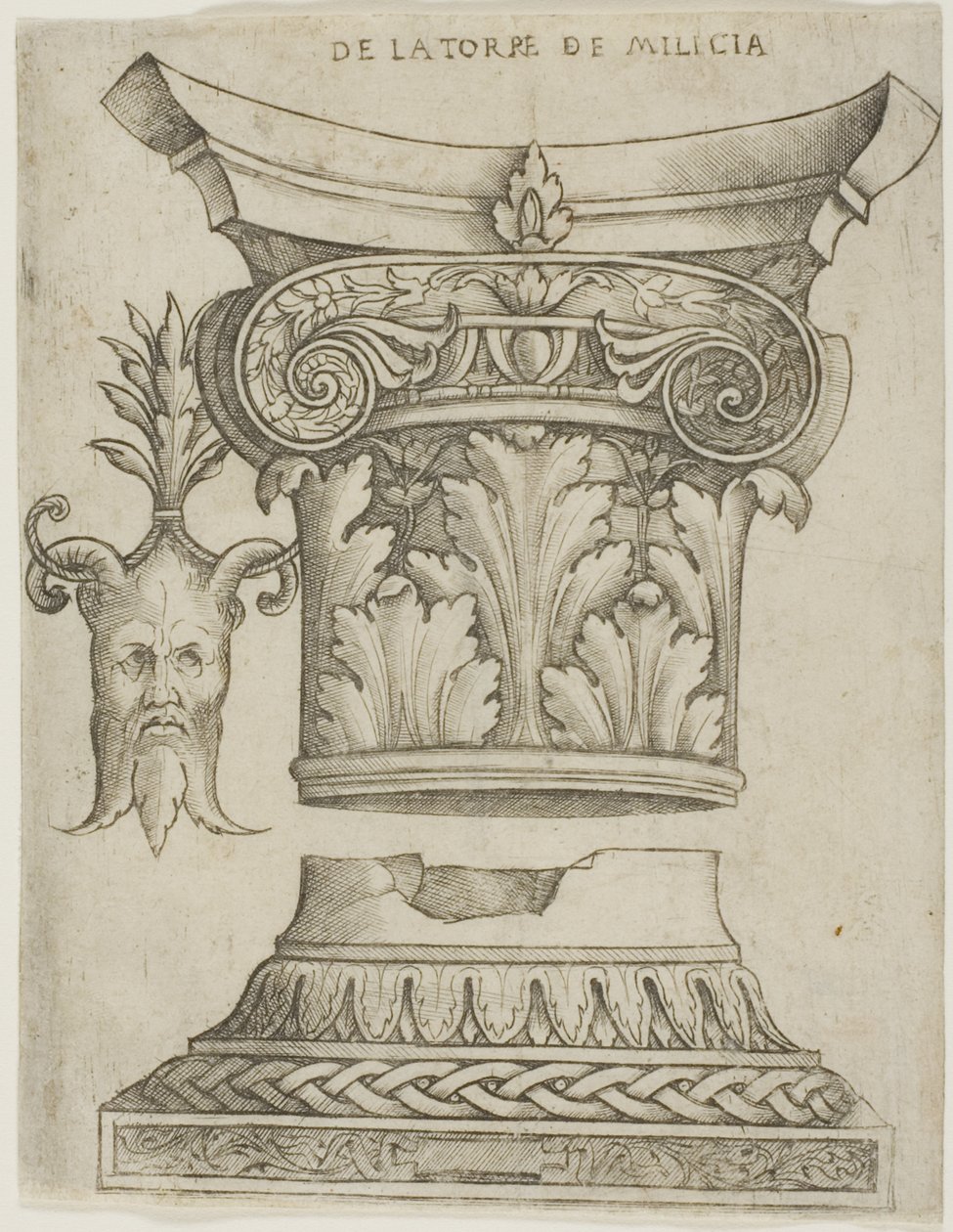 Architektonische Details: Basis, Kapitell und Maske von Giovanni Antonio da Brescia