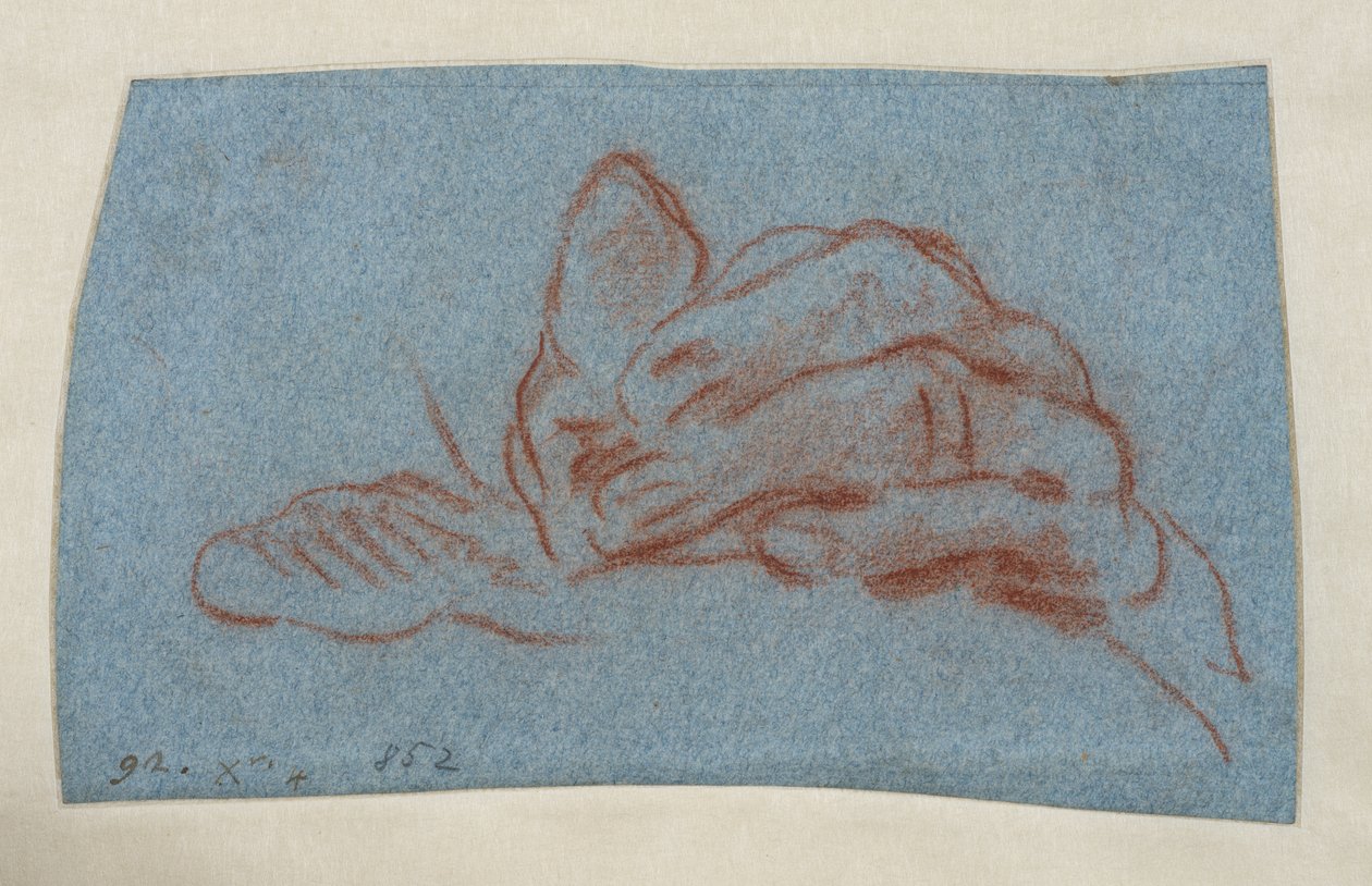 Studie einer linken Hand, ca. 1750-1754 von Giovanni Battista (attr. to) Tiepolo