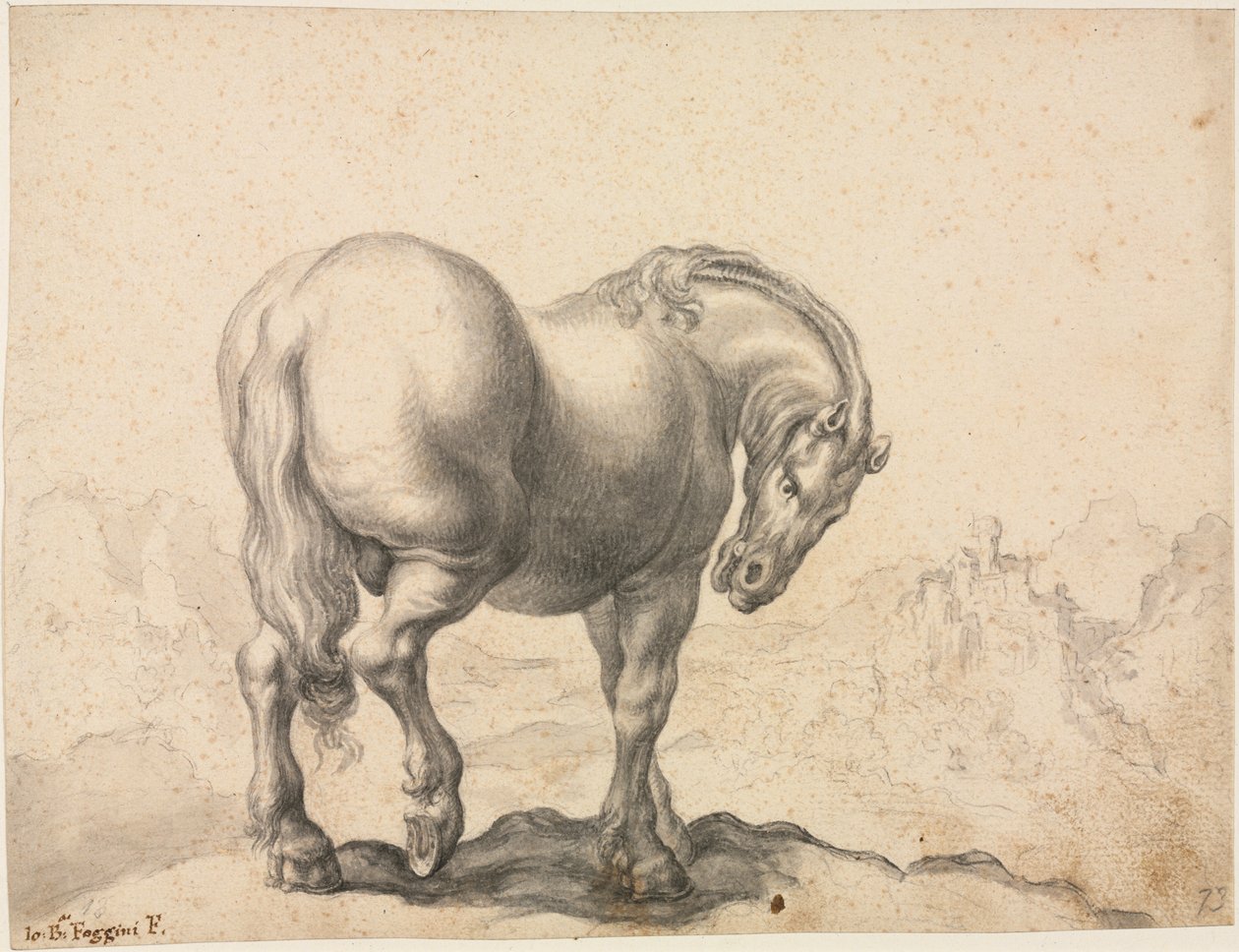 Studie eines Hengstes, erstes Drittel des 18. Jahrhunderts von Giovanni Battista Foggini