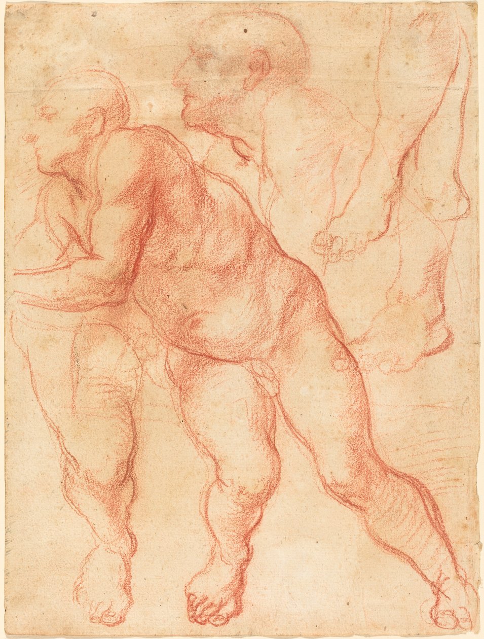 Studien eines männlichen Aktes von Giovanni Battista Naldini