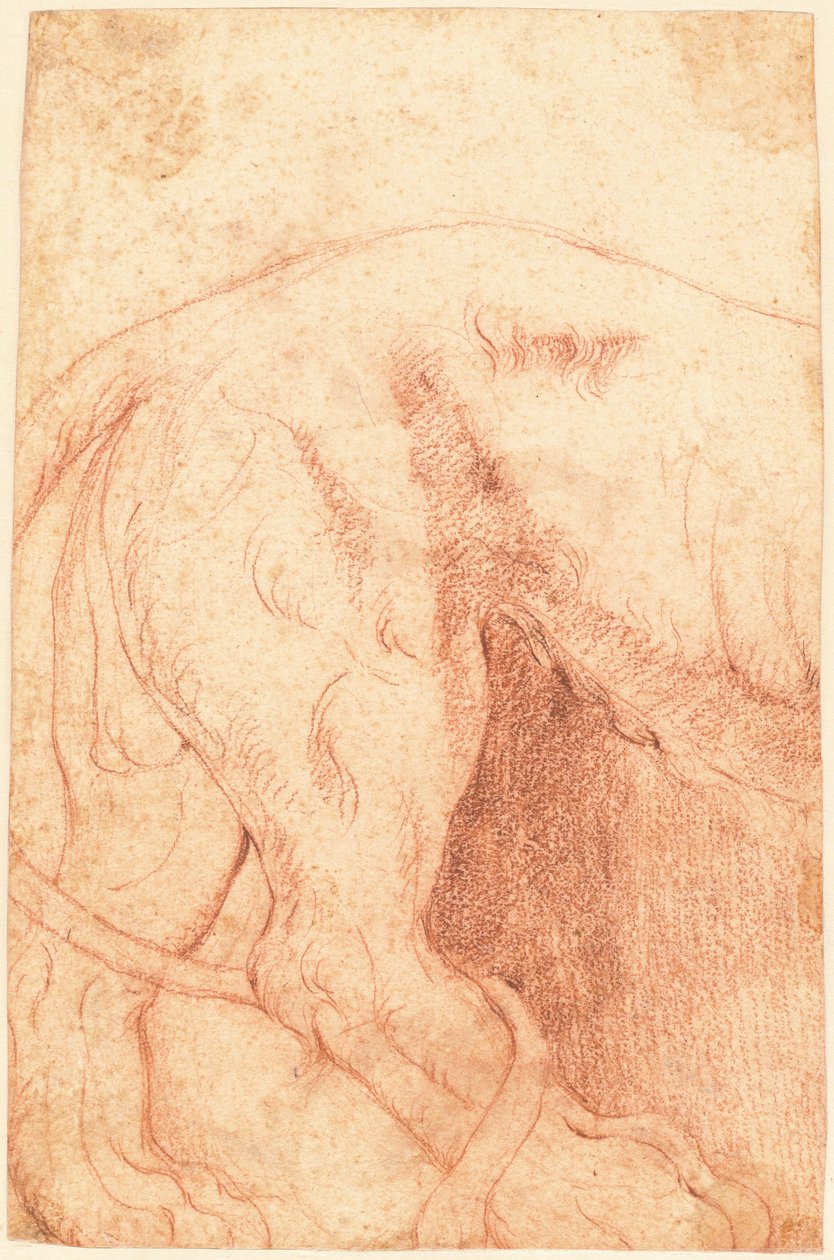 Fragment eines Löwen-Reliefs (verso) von Giovanni Battista Piranesi