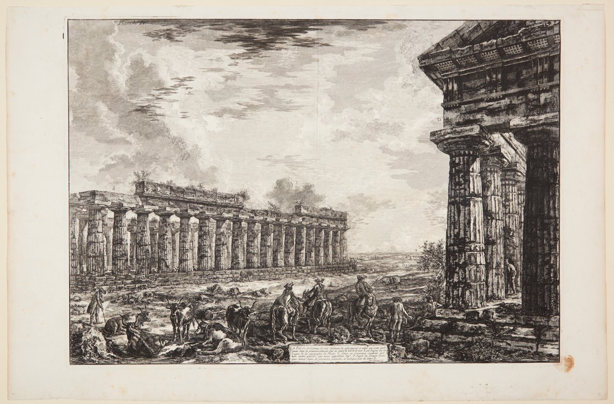 Ansicht der 18 seitlichen Säulen, von der den auf der ersten Tafel gezeigten Säulen gegenüberliegenden Seite gezeichnet [...] von Giovanni Battista Piranesi