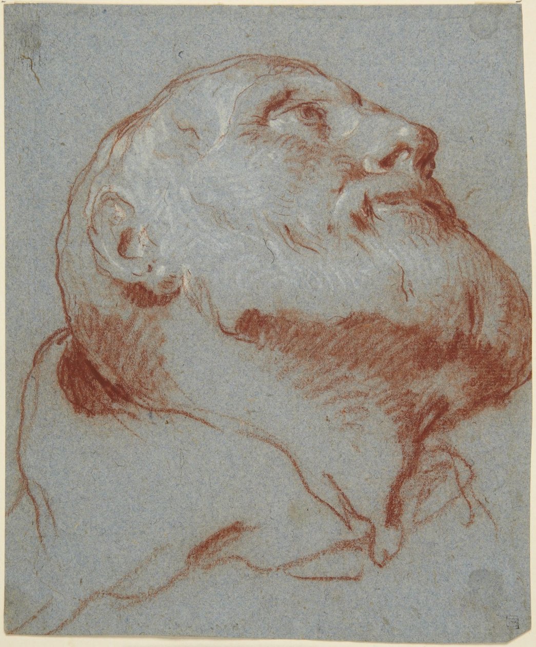Kopf eines bärtigen Mannes, von unten gesehen und nach oben blickend von Giovanni Battista Tiepolo
