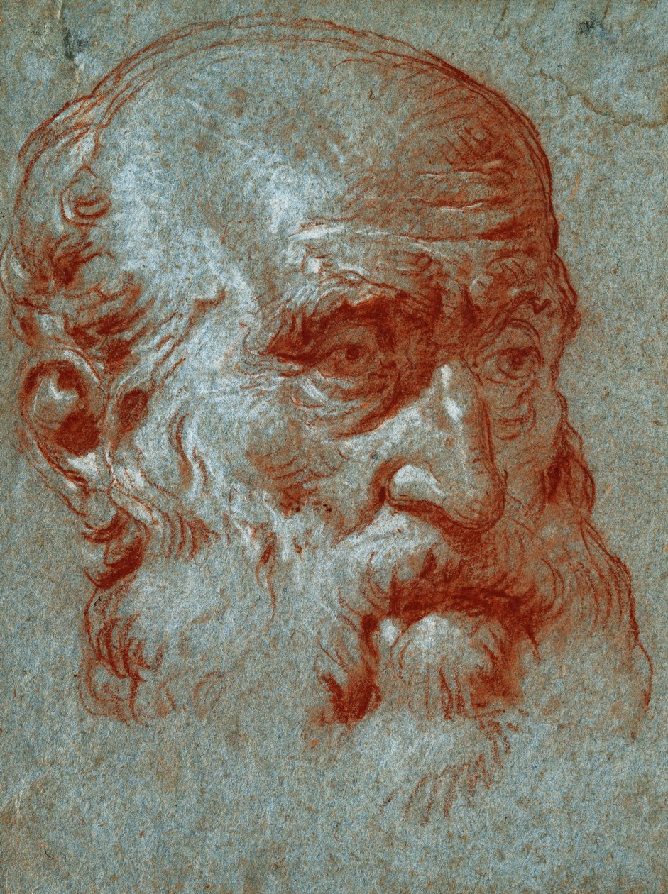Kopf eines venezianischen Patriziers, Dreiviertelansicht von Giovanni Battista Tiepolo