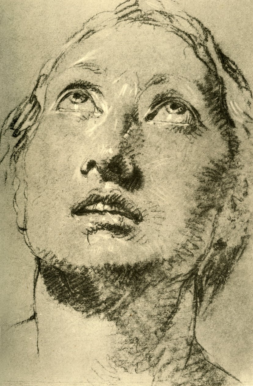 Kopf einer jungen Frau, nach oben blickend, ca. 1755 von Giovanni Battista Tiepolo