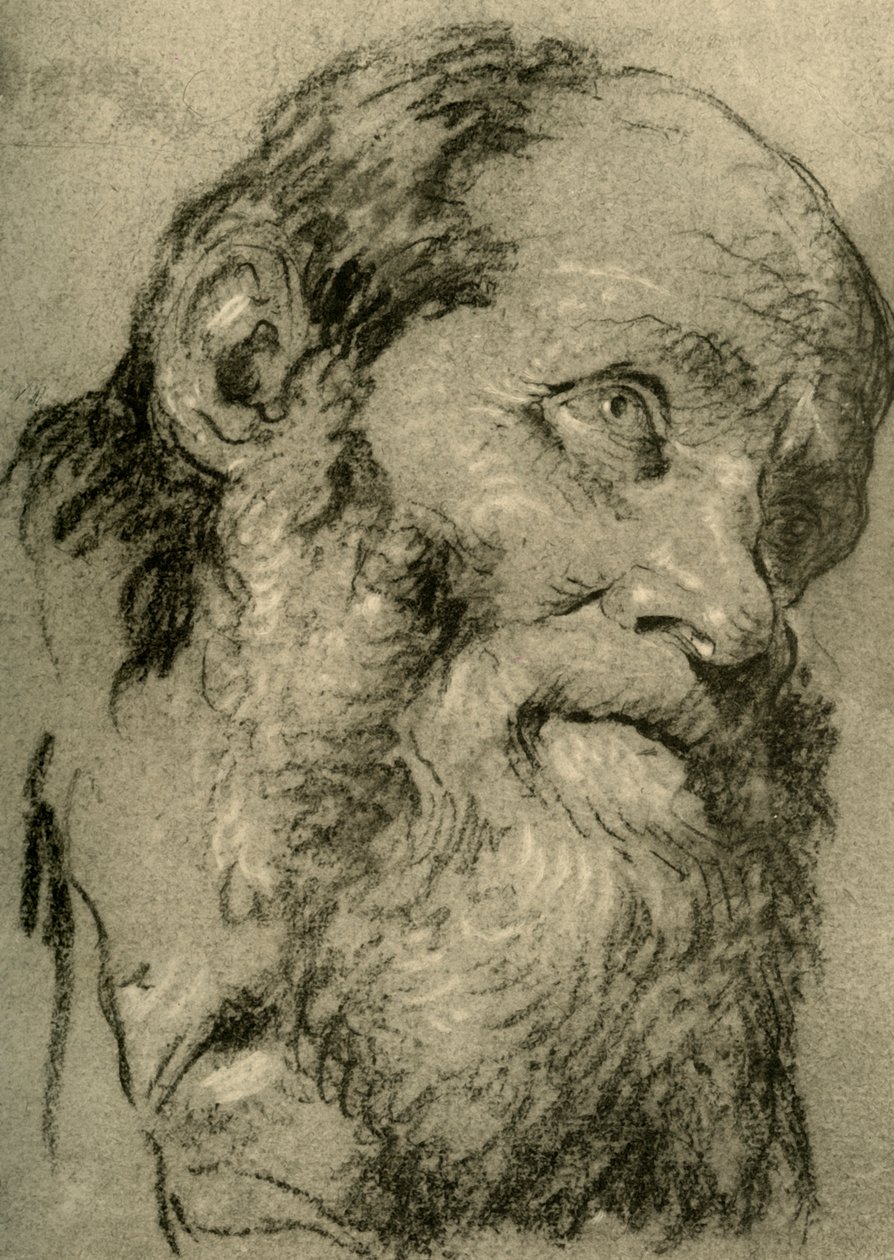 Kopf eines alten Mannes, ca. 1755, 1928 von Giovanni Battista Tiepolo