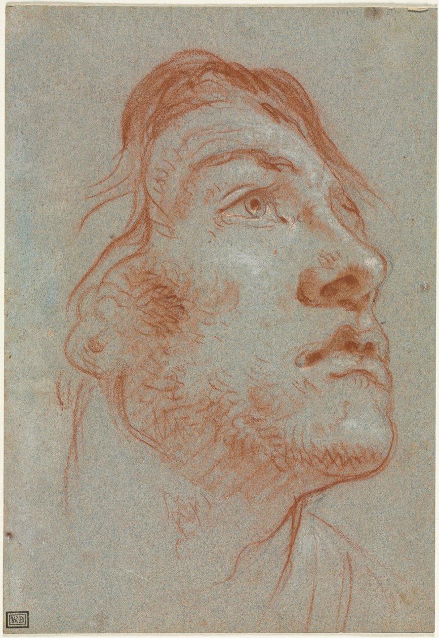 Der Kopf eines jungen Mannes, der nach oben rechts schaut, vor 1752 von Giovanni Battista Tiepolo