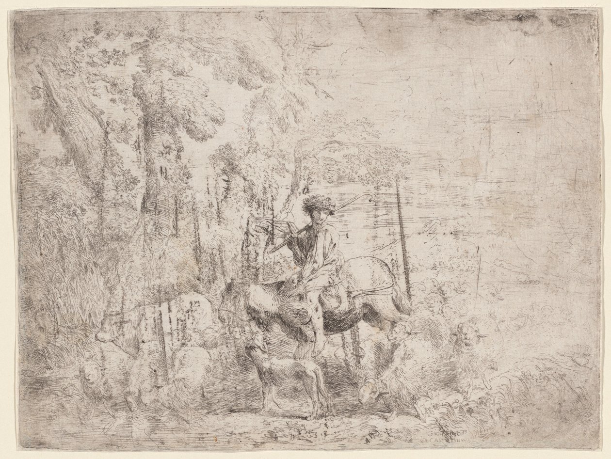 Junger Hirte zu Pferd von Giovanni Benedetto Castiglione