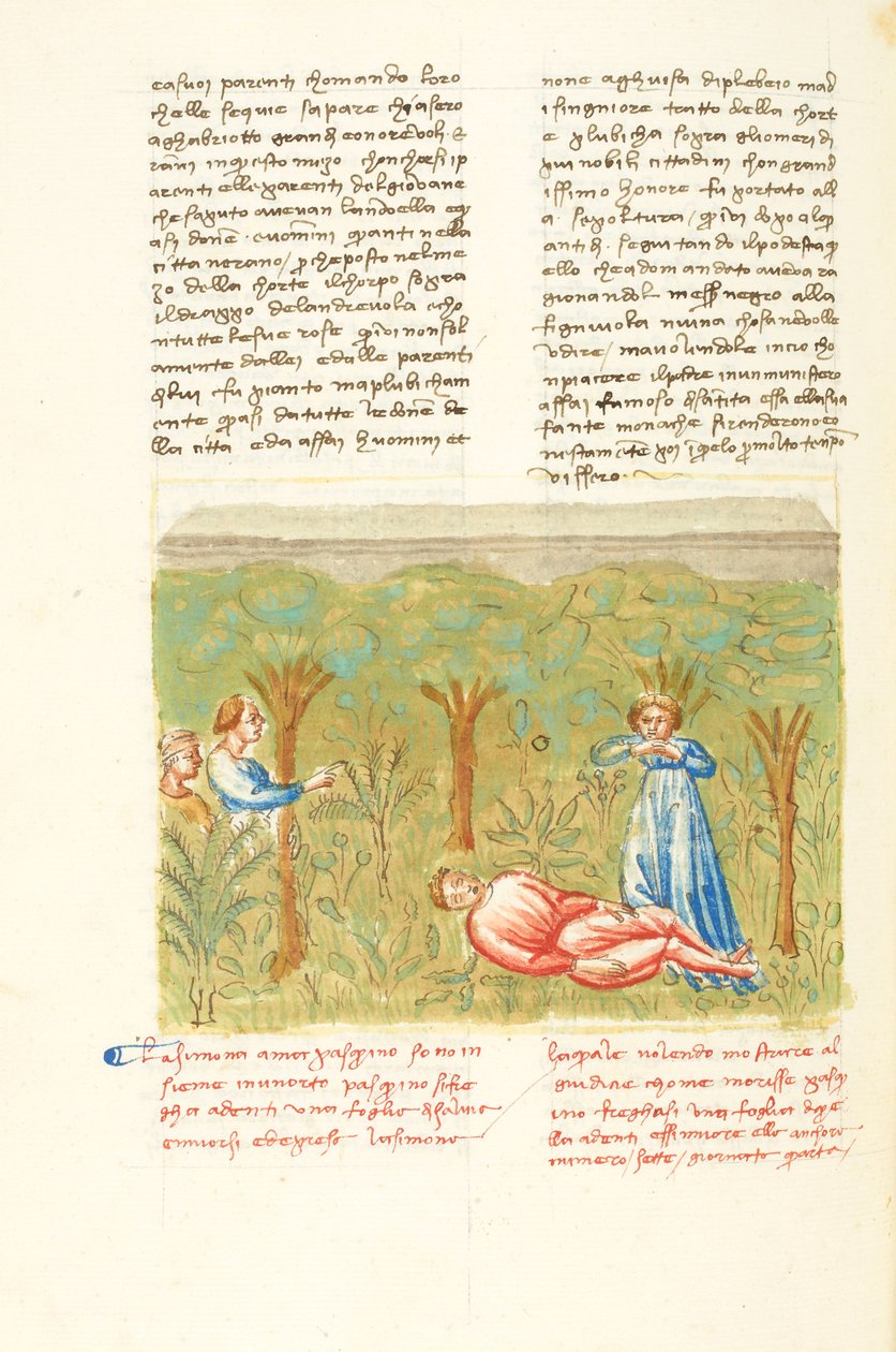 Dekameron, Der Salbeizweig - Tod von Pasquino, Vierter Tag, Novelle 7 von Giovanni Boccaccio