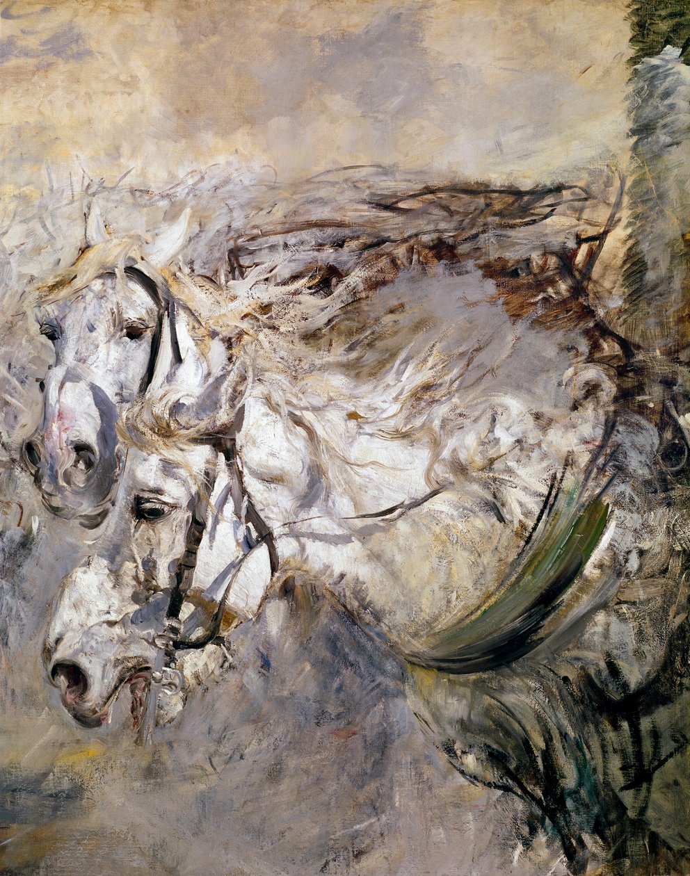 Zwei weiße Pferde von Giovanni Boldini