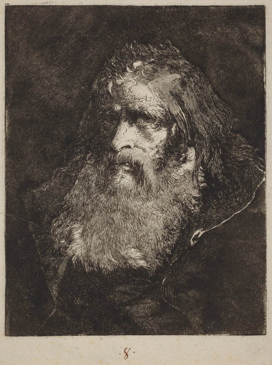 Alter Mann mit kahlem Kopf von Giovanni Domenico Tiepolo