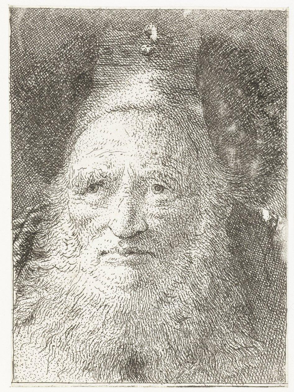 Alter Mann mit Pelzmütze von Giovanni Domenico Tiepolo