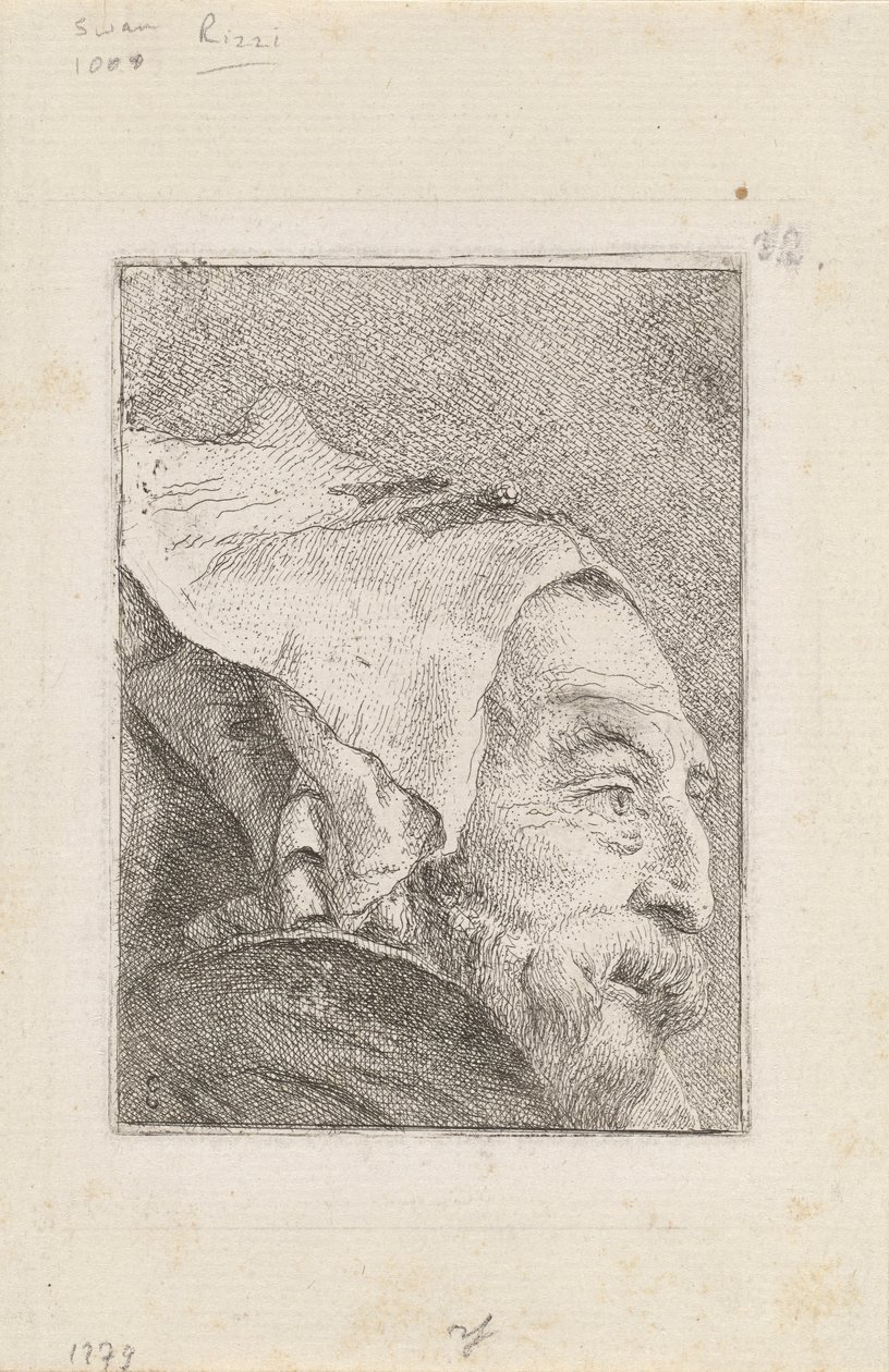 Profil eines alten Mannes, aus der Raccolta di Teste von Giovanni Domenico Tiepolo